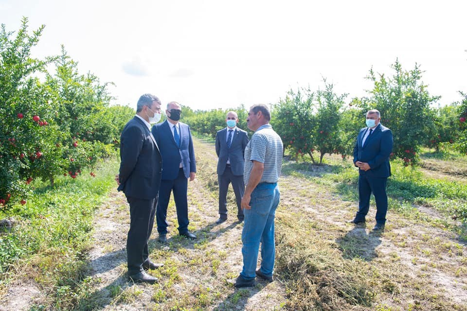 İnam Kərimov Ağdaş və Göyçay RAYONLARINDA - FOTO