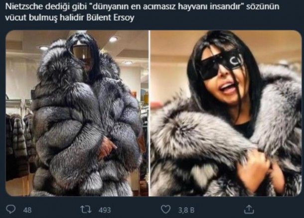 Bülənt Ərsoyun 55 tülkünün dərisindən hazırlanan xəzi tənqid olundu - FOTO