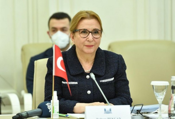 Sahibə Qafarova Türkiyənin ticarət naziri ilə görüşüb - FOTO