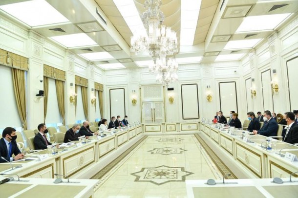 Sahibə Qafarova Türkiyənin ticarət naziri ilə görüşüb - FOTO