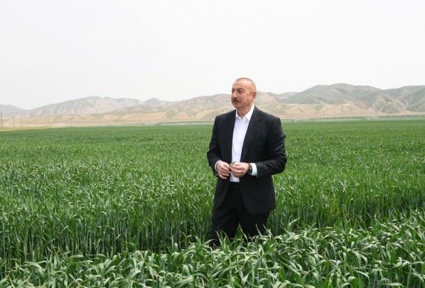 Prezident Hacıqabulda açılışlar edir - YENİLƏNİB-4
