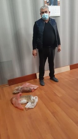 Tovuzda qanunsuz ov edən şəxs saxlanıldı - FOTO