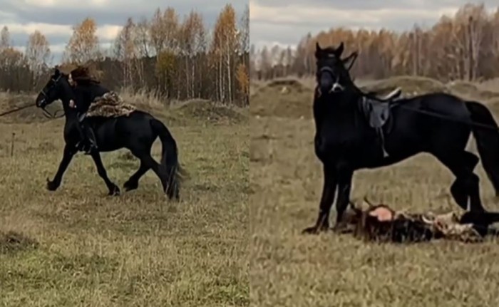 Məşhur müğənni klip çəkilişində atdan yıxıldı  - FOTO