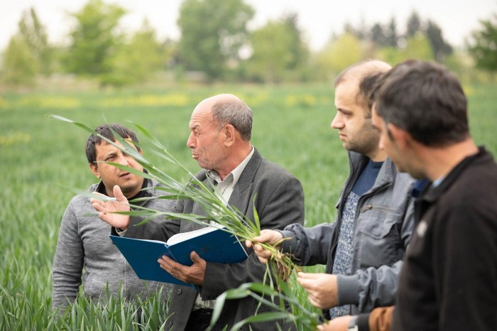 Ölkəyə elit toxumların gətirilməsi davam etdiriləcək - Nazirlik (FOTOLAR)