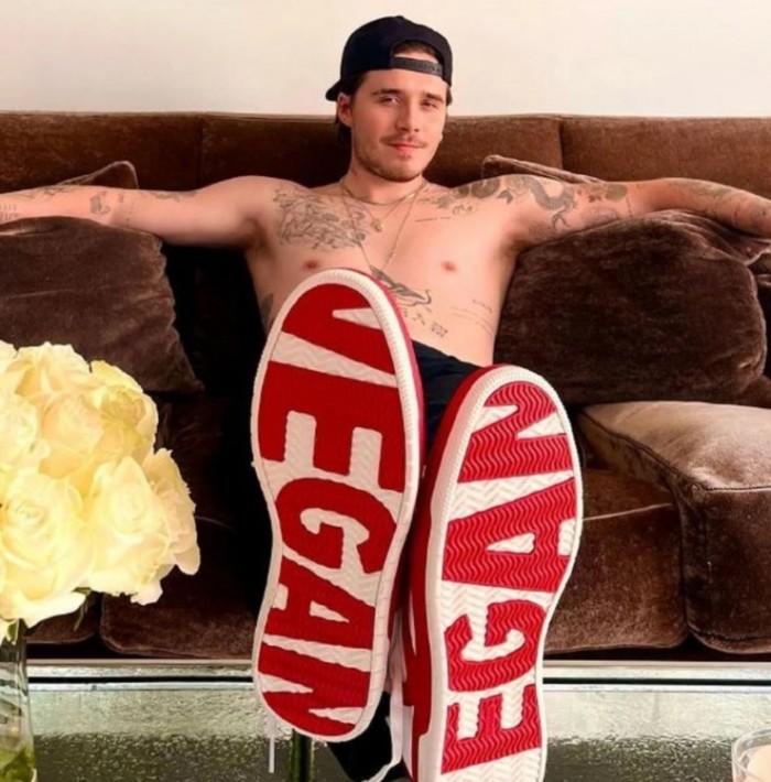 Ət yeməsi milyonluq işini itirməsinə səbəb OLDU