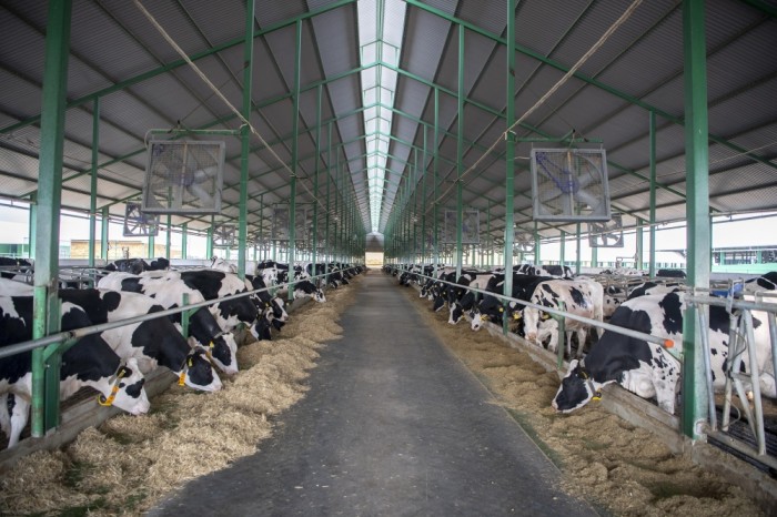 Nazir təsərrüfatlara baş çəkdi, fermerlərlə görüşdü - FOTOLAR