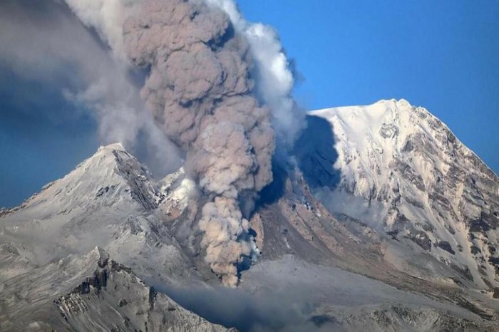 Van Dammın oğlu Vəndama getdi - FOTOLAR