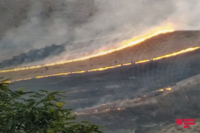 Ermənilər Qarabağda yanğın törətdi - FOTO