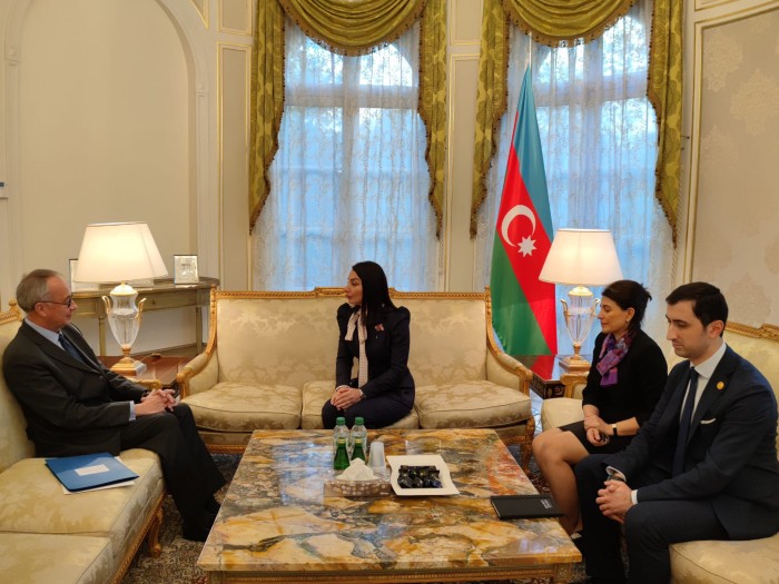 Leyla Abdullayeva etimadnaməsinin surətini Fransa XİN-ə təqdim etdi - FOTO
