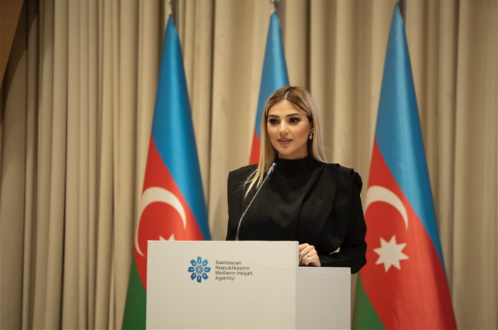 MEDİA-nın təşkilatçılığı ilə “Media savadlılığı” adlı konfrans keçirilib - FOTOLAR