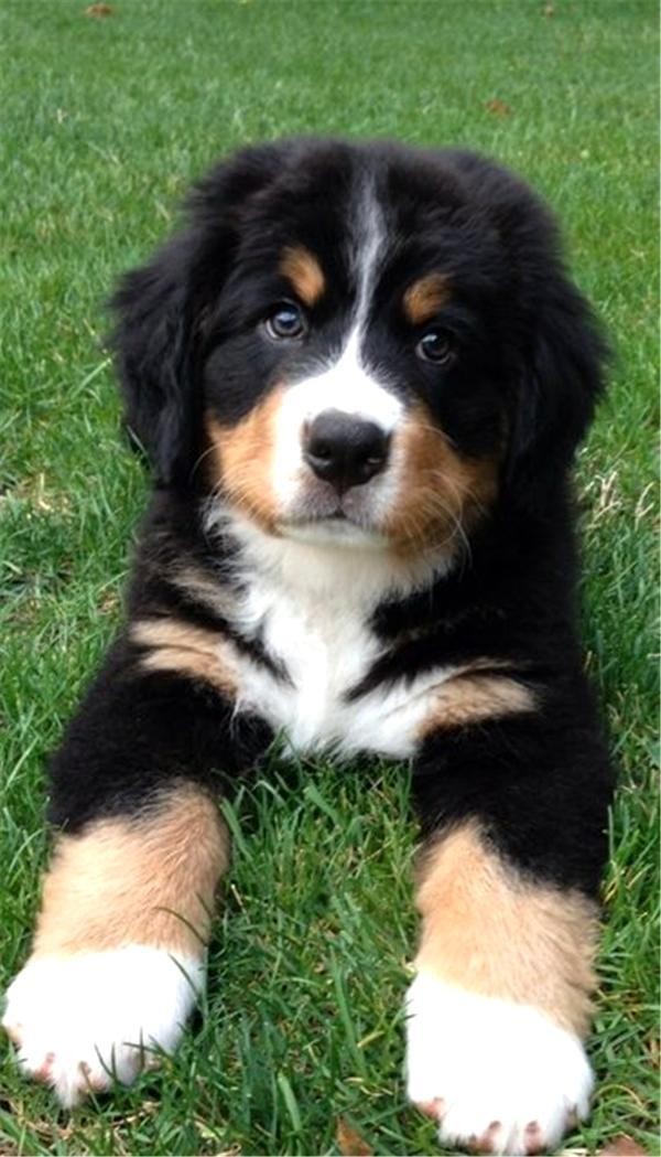 Aktrisa buna görə özünü dənizə atdı - FOTO