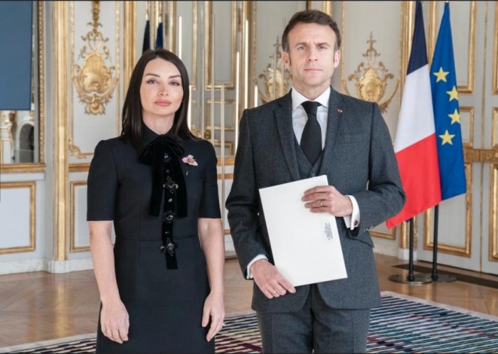 Leyla Abdullayeva etimadnaməsini Makrona təqdim etdi - FOTO