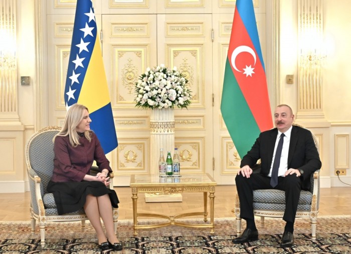 İlham Əliyev xanım sədrlə görüş keçirdi - FOTOLAR