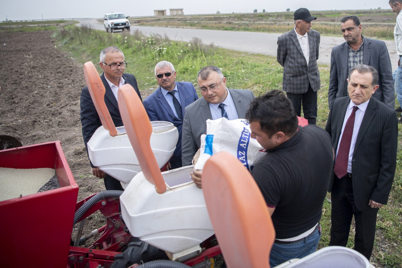 Pambıqçılıq rayonlarında çiyid səpininə start verildi - FOTOLAR