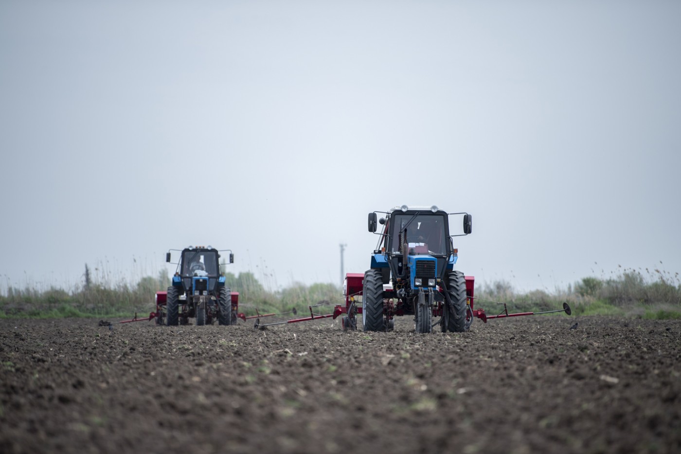 Pambıqçılıq rayonlarında çiyid səpininə start verildi - FOTOLAR