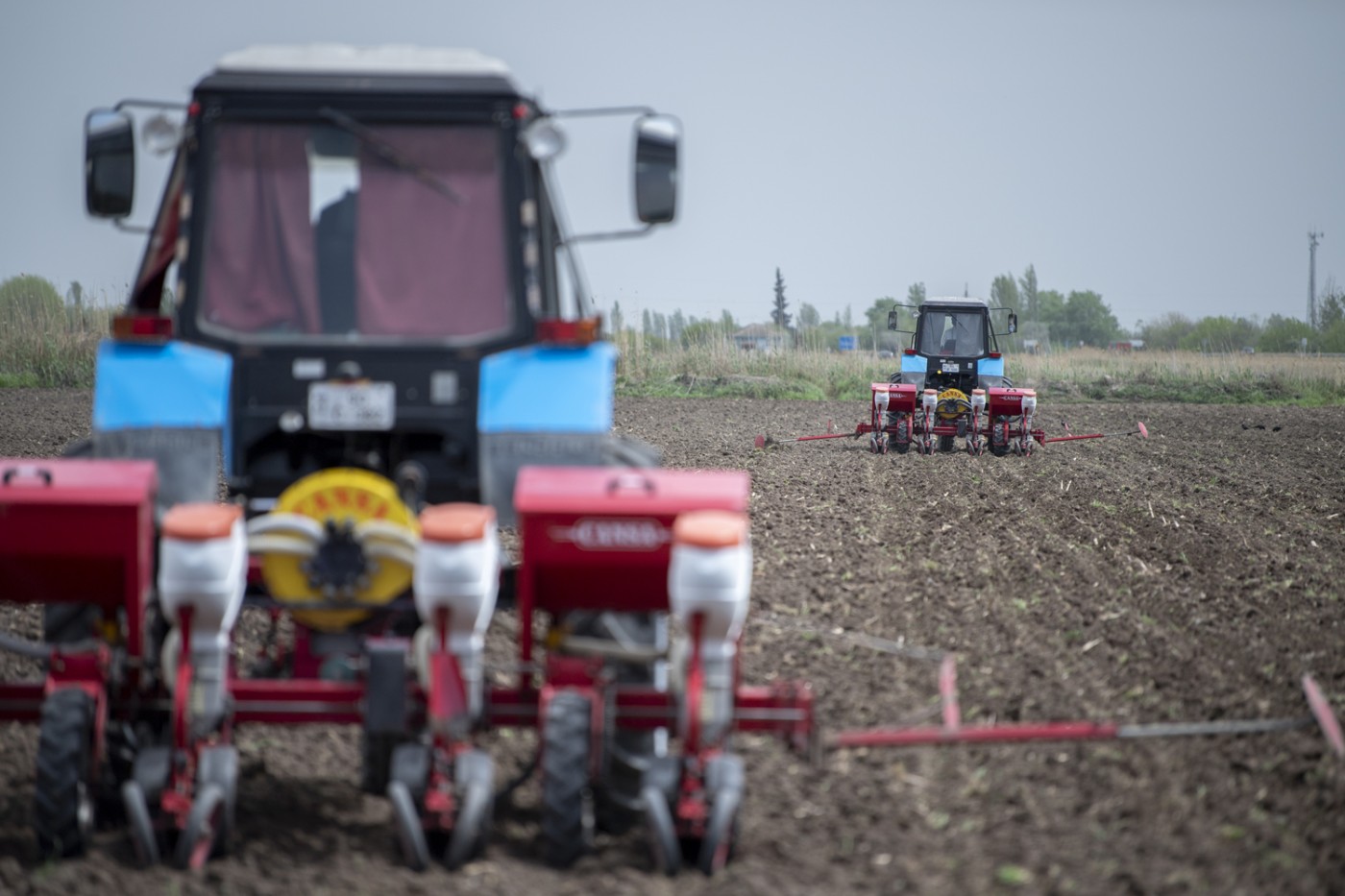 Pambıqçılıq rayonlarında çiyid səpininə start verildi - FOTOLAR