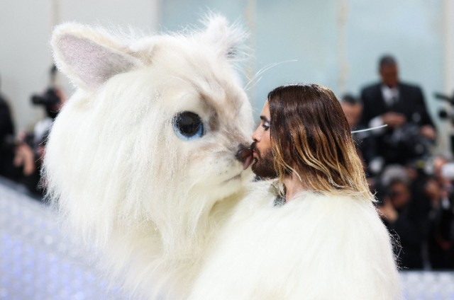 Qala gecəsində geyimləri ilə diqqət çəkdilər - FOTOLAR