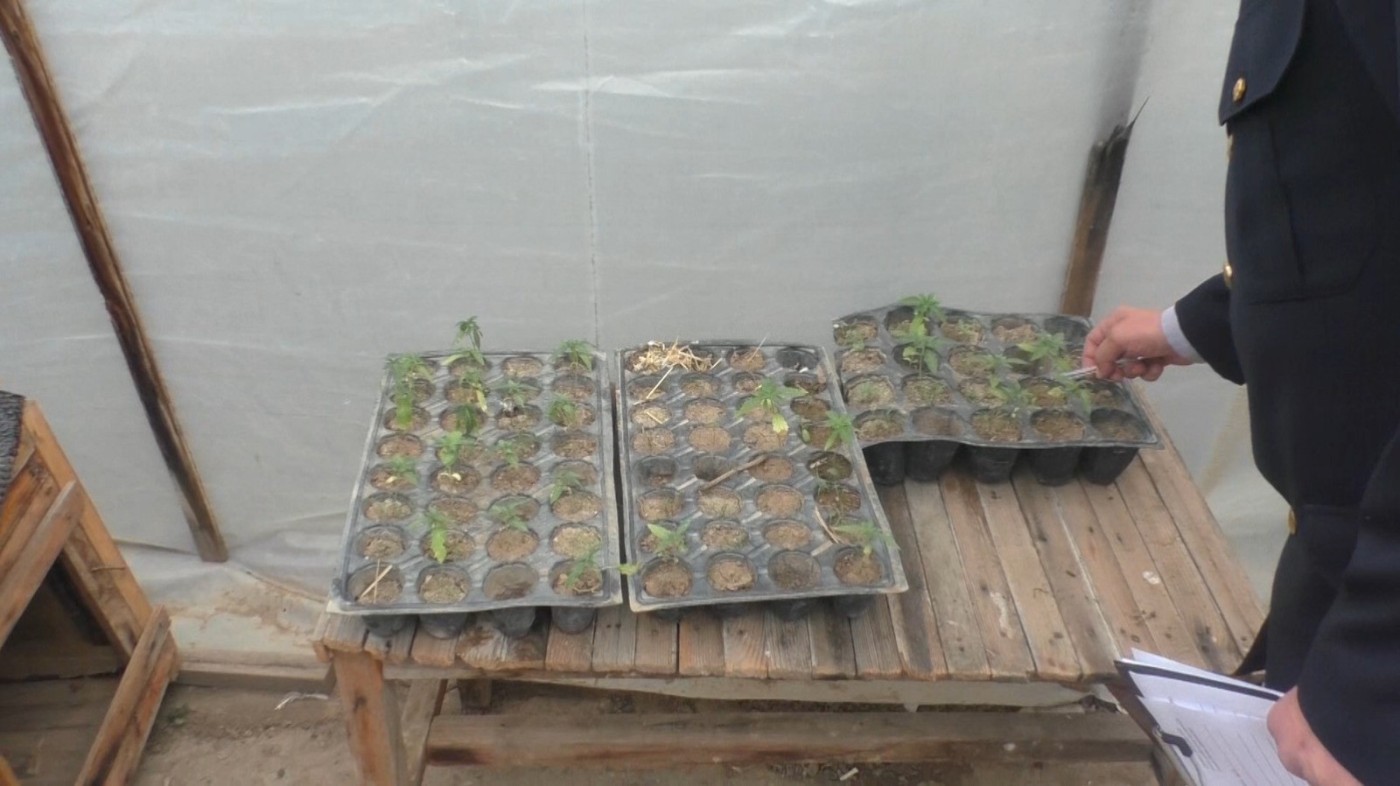 Narkokuryerlik edən qadın saxlanıldı - FOTOLAR