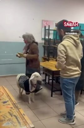 Türkiyə sakini seçkiyə qoyunla gəldi - FOTO