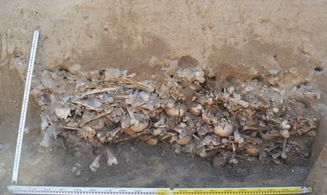Polşada 450 nəfərin kütləvi məzarlığı aşkarlandı - FOTOLAR