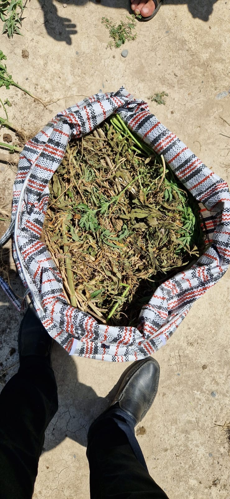 DİN “Xaş-xaş 2023” əməliyyatı keçirdi - FOTO