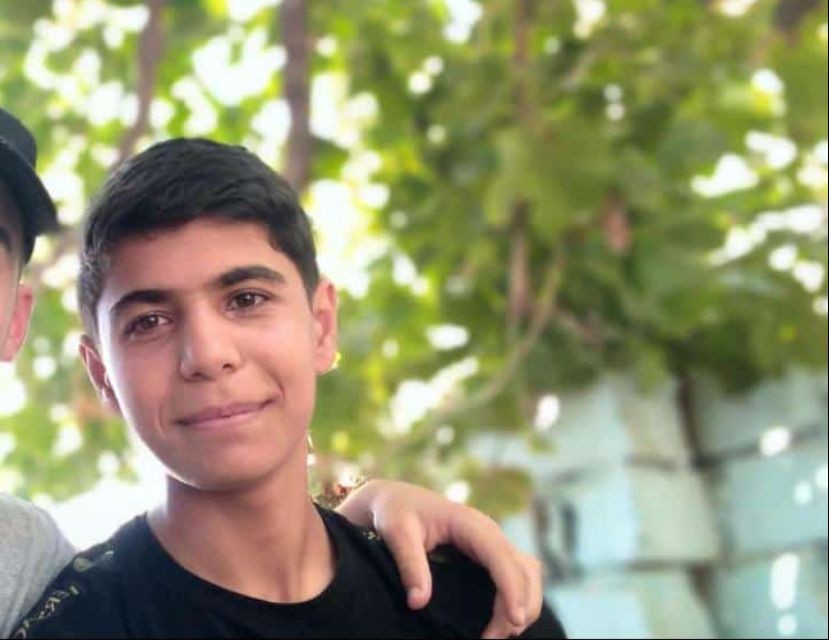 Neftçalada boğularaq ölən yeniyetmələrin ikisi qardaşdır - FOTO
