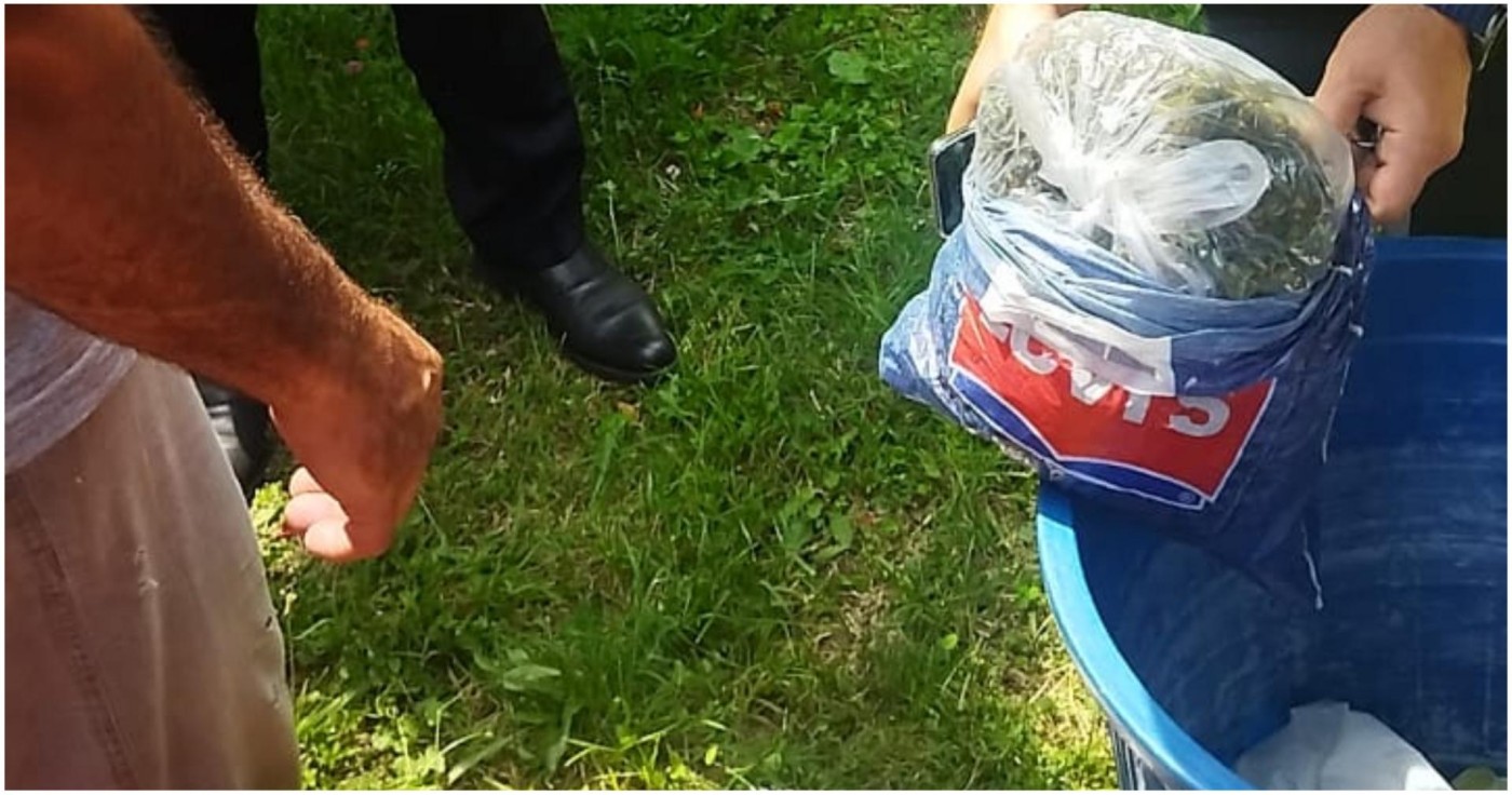 Həyətində narkotik tərkibli bitkilər yetişdirən şəxs saxlanıldı - FOTOLAR