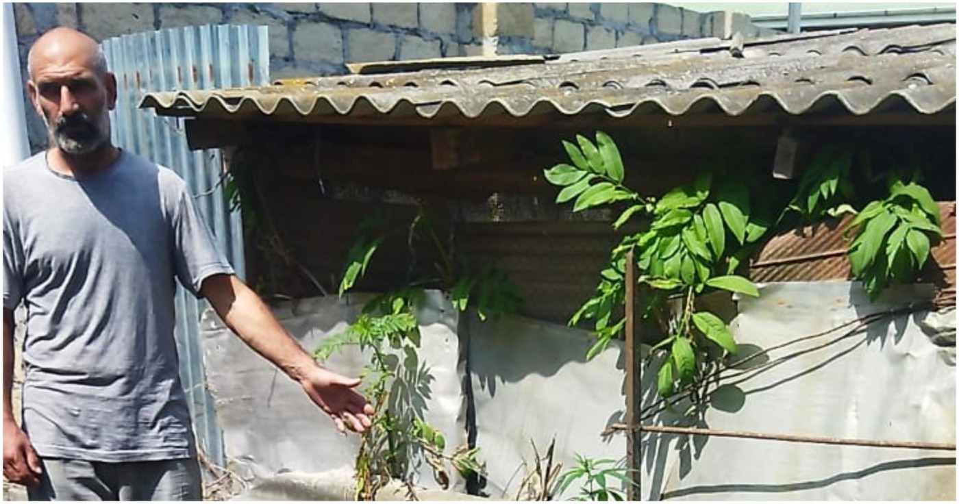 Həyətində narkotik tərkibli bitkilər yetişdirən şəxs saxlanıldı - FOTOLAR