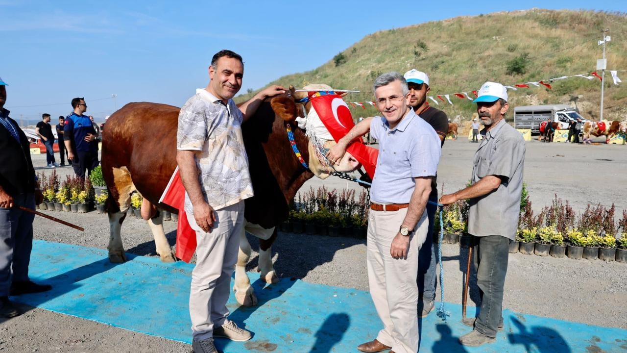 Qurbanlıq heyvanların gözəllik yarışması keçirildi - FOTOLAR