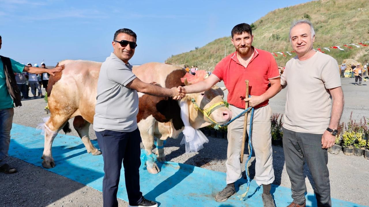 Qurbanlıq heyvanların gözəllik yarışması keçirildi - FOTOLAR