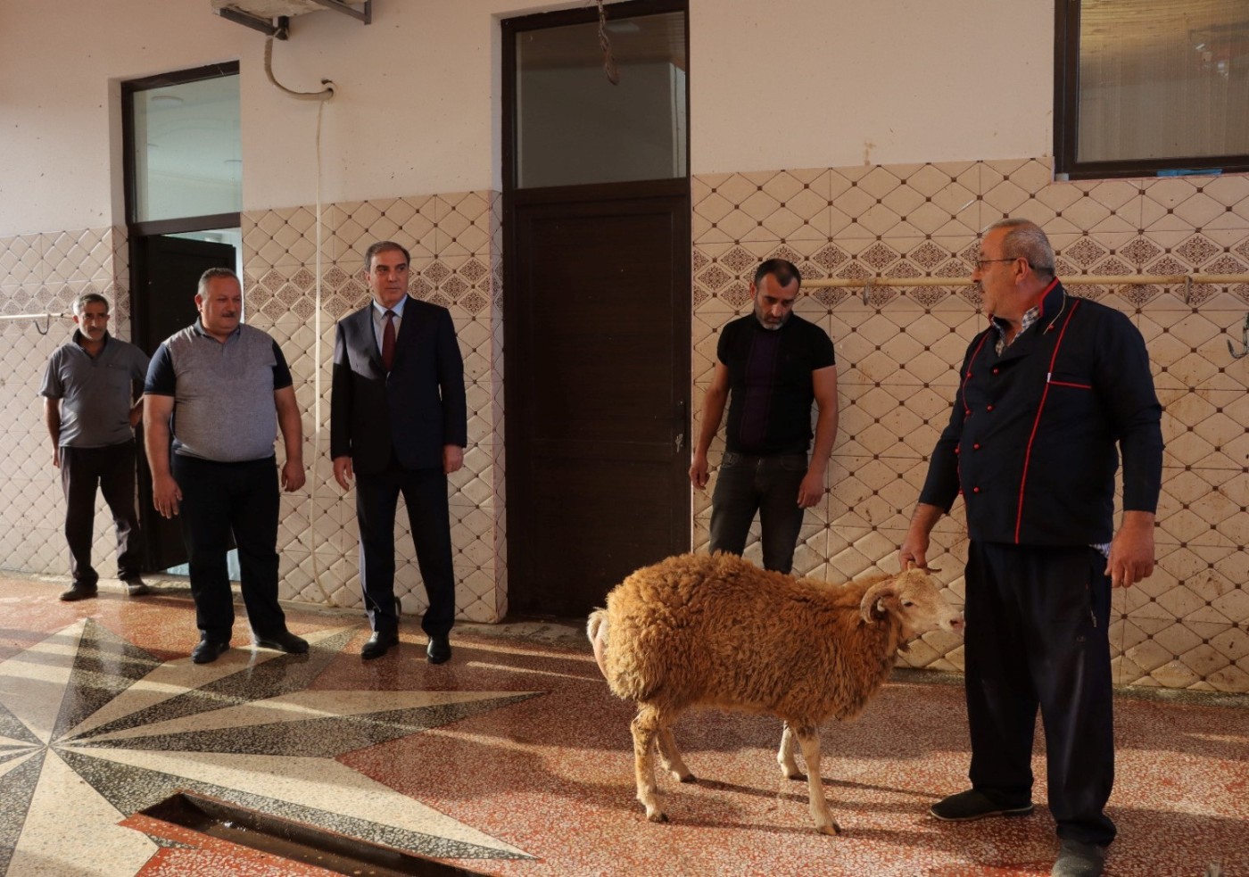 Niyazi Bayramov heyvanların kəsim məntəqələrində yaradılan şəraitlə tanış olub - FOTOLAR