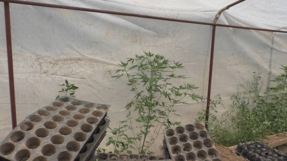 Şəmkir sakinlərində narkotik aşkarlandı - FOTO