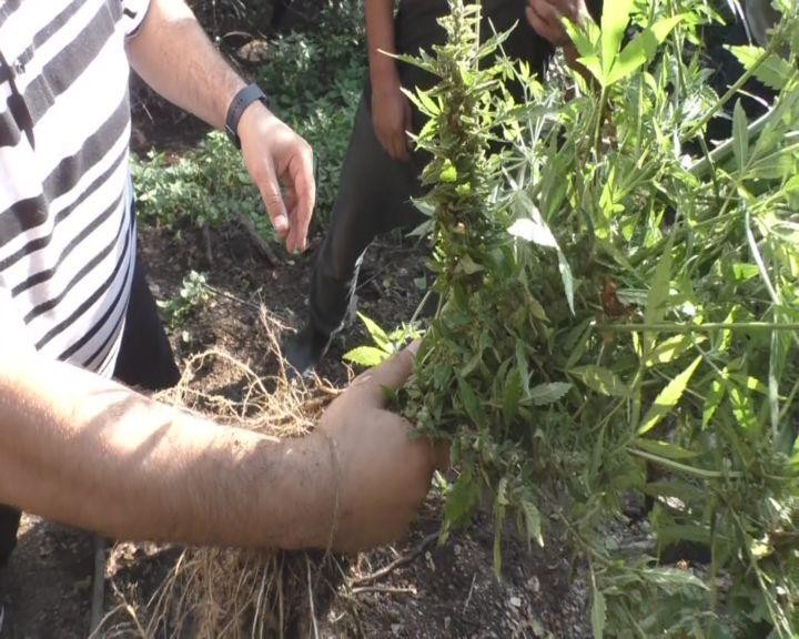 Polis Zaqatala dağlarında əməliyyat keçirdi - Saxlanılan var