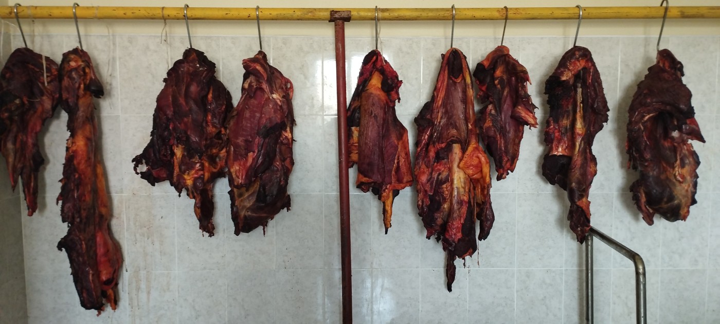 Xəstə atları kəsib satmaq istəyən şəxslər saxlanıldı - FOTO