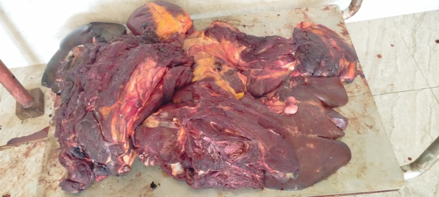 Xəstə atları kəsib satmaq istəyən şəxslər saxlanıldı - FOTO