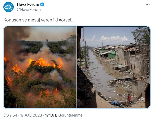 Meşə yanğını fotosunda məşhur aktyorun üzü göründü