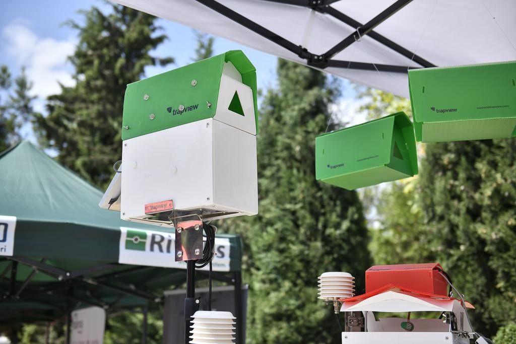 Şamaxıda növbəti toxum sərgi-satış yarmarkası keçirildi - FOTOLAR