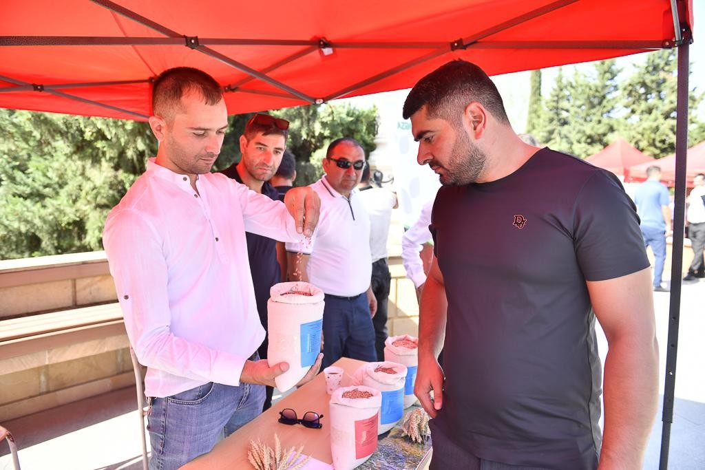 Şamaxıda növbəti toxum sərgi-satış yarmarkası keçirildi - FOTOLAR