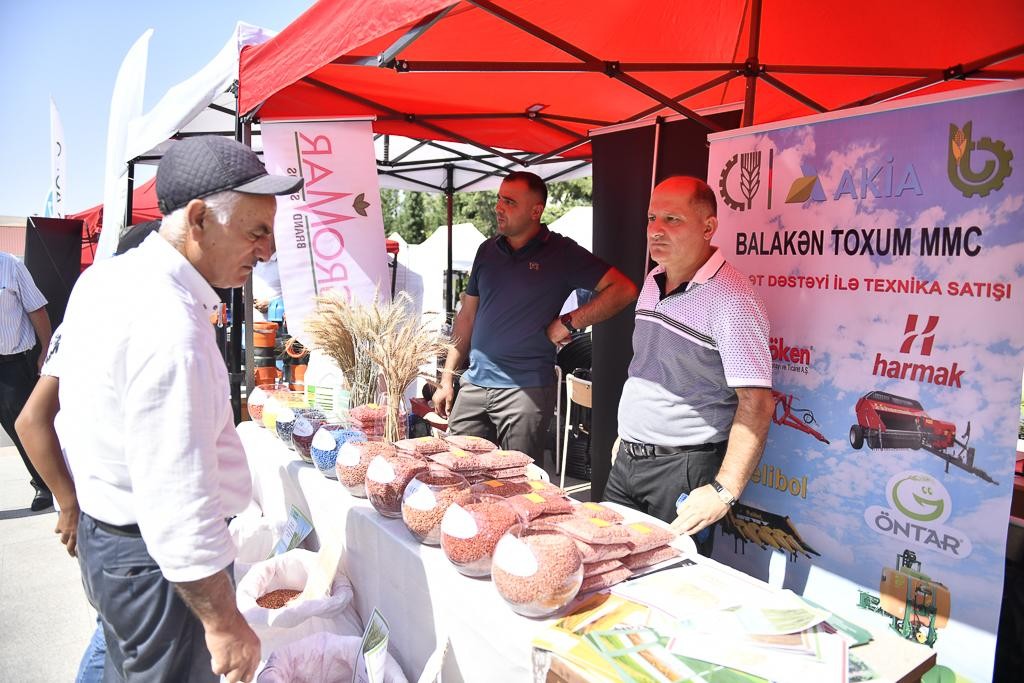 Şamaxıda növbəti toxum sərgi-satış yarmarkası keçirildi - FOTOLAR