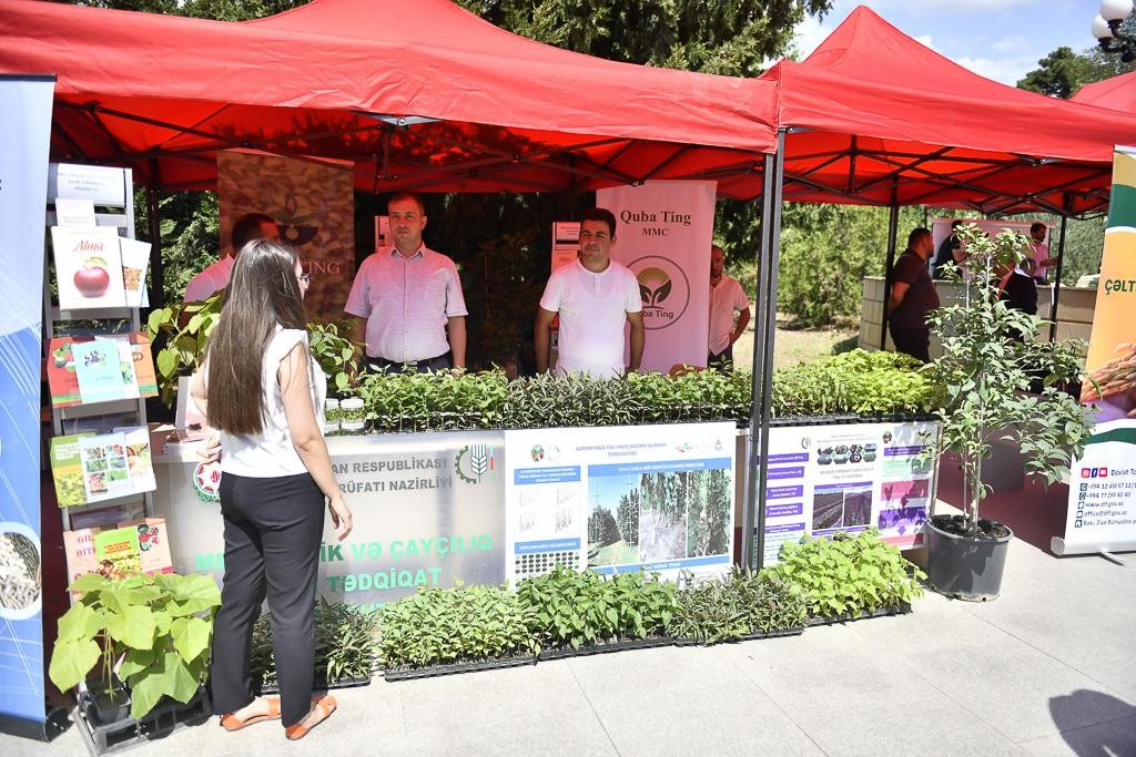 Şamaxıda növbəti toxum sərgi-satış yarmarkası keçirildi - FOTOLAR