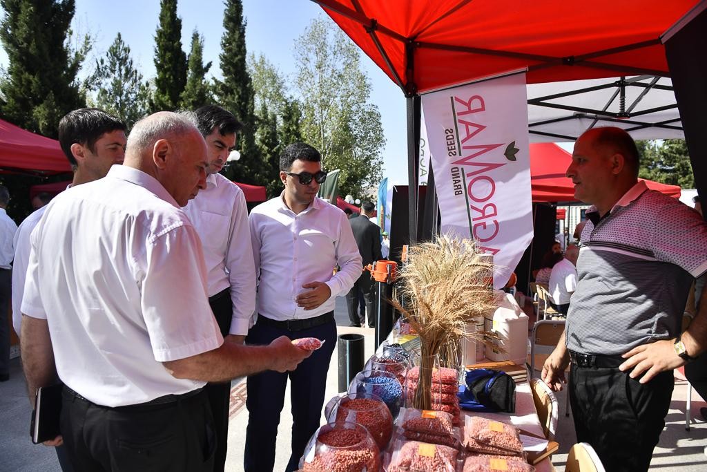 Şamaxıda növbəti toxum sərgi-satış yarmarkası keçirildi - FOTOLAR