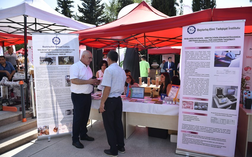 Şamaxıda növbəti toxum sərgi-satış yarmarkası keçirildi - FOTOLAR