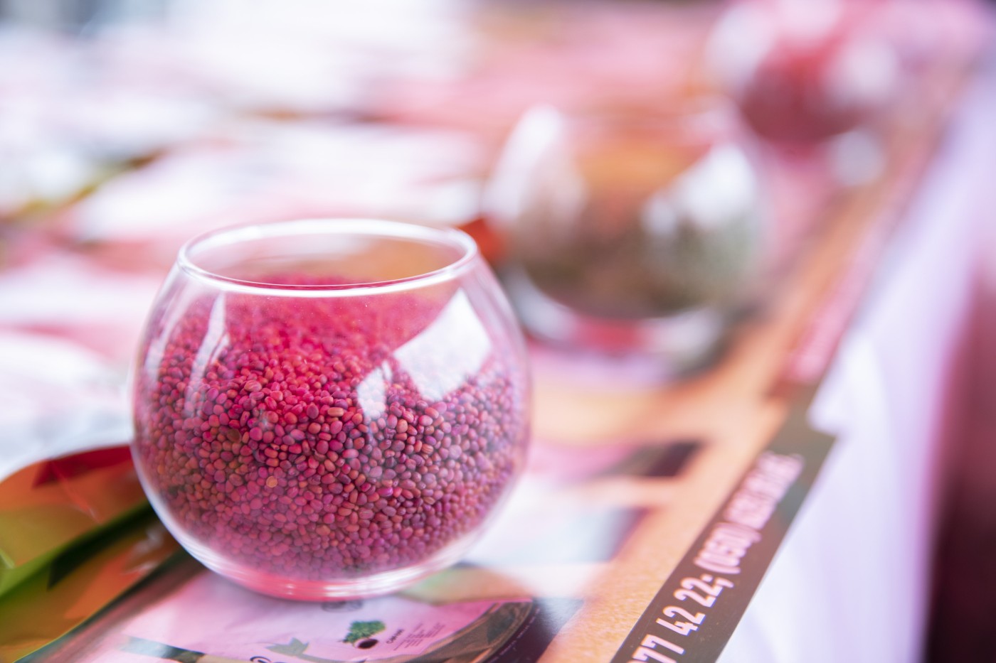 Ağstafada toxum sərgi-satış yarmarkası təşkil olundu - FOTOLAR