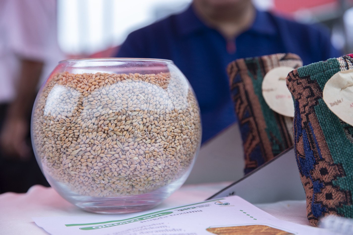 Ağstafada toxum sərgi-satış yarmarkası təşkil olundu - FOTOLAR