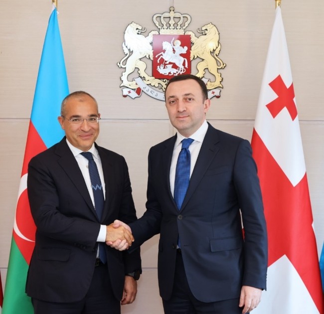 Mikayıl Cabarov Qaribaşvili ilə görüşdü - FOTO