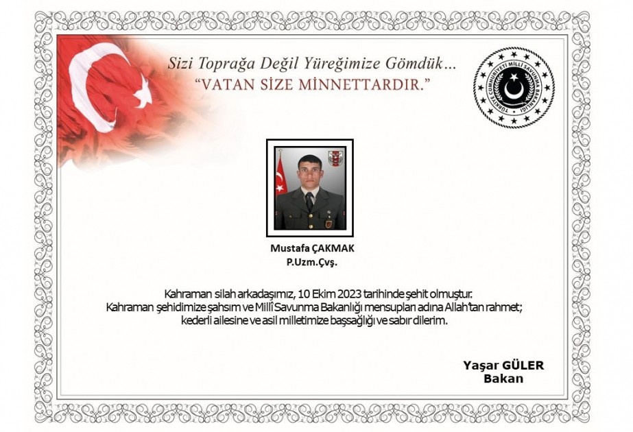 Türkiyə ordusu şəhid verdi 