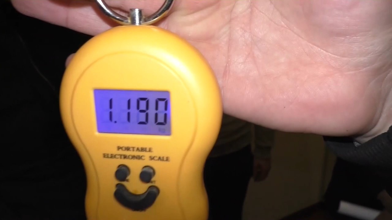 Gəncədə narkotiklərlə bağlı 74 nəfər saxlanıldı - FOTOLAR