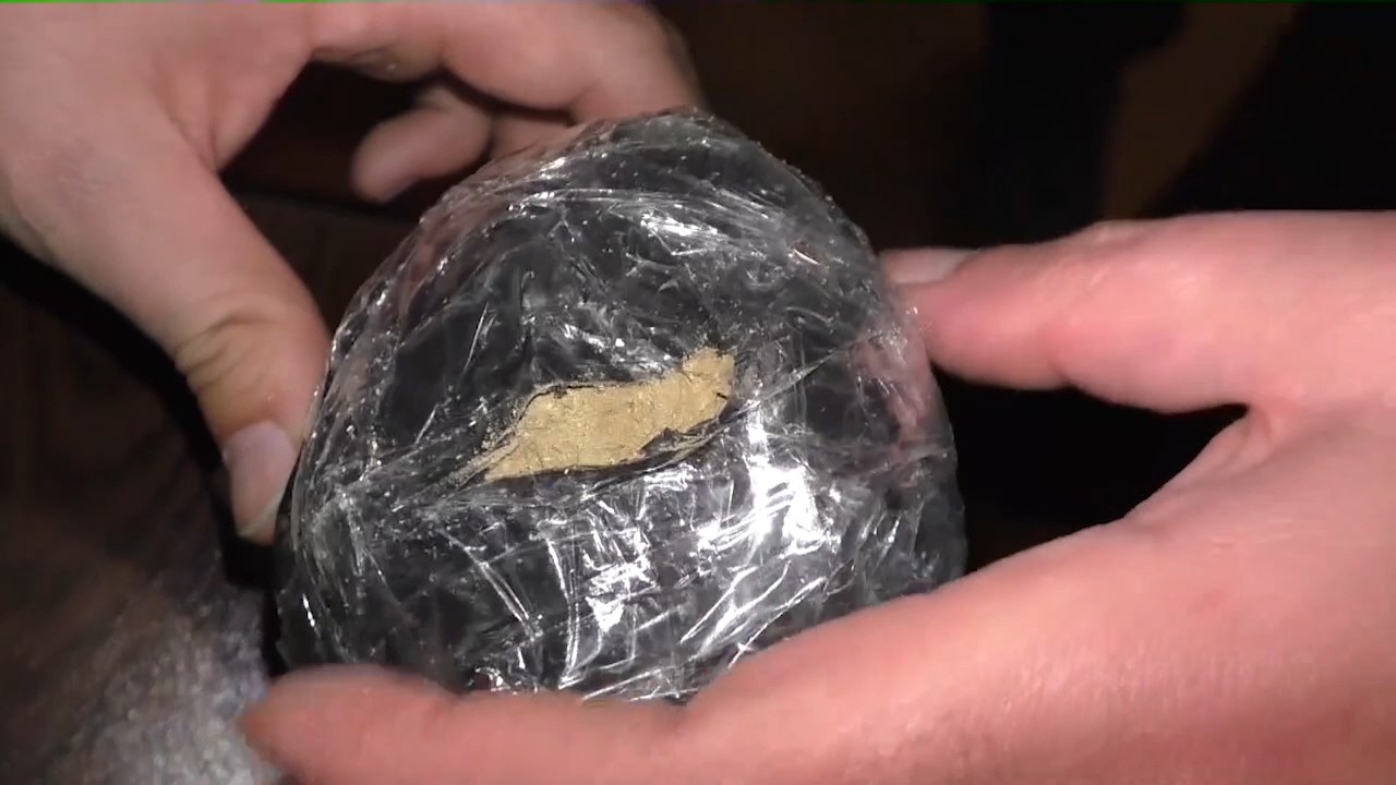 Gəncədə narkotiklərlə bağlı 74 nəfər saxlanıldı - FOTOLAR