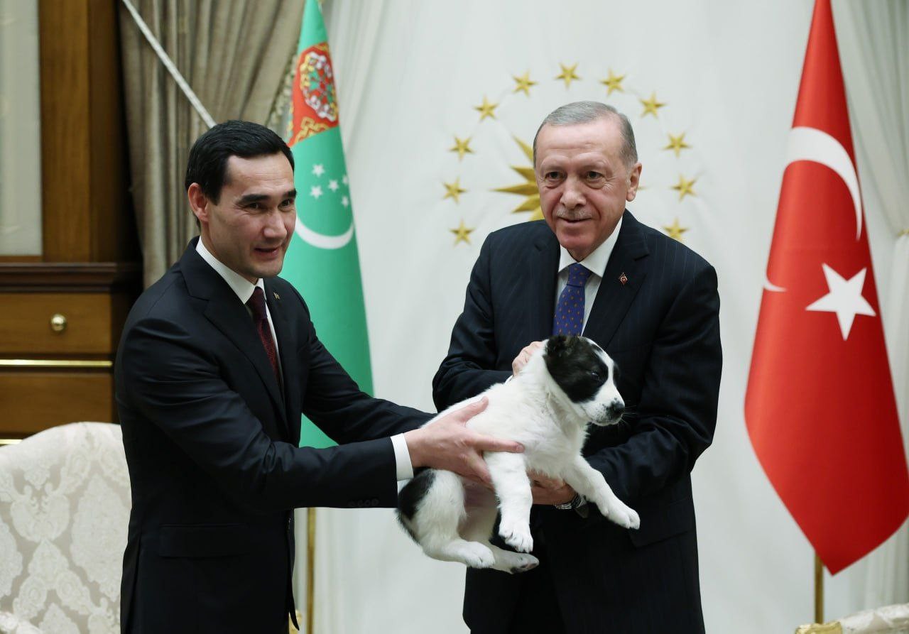 Ərdoğan Berdiməhəmmədova kanqal balası hədiyyə etdi - FOTO