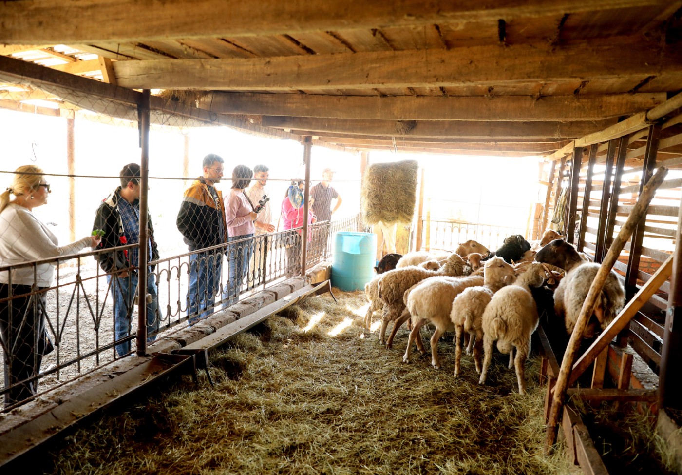 “Şəhərdən Kəndə” layihəsi çərçivəsində aqroturizm təsərrüfatlarına infotur təşkil olunub - FOTOLAR